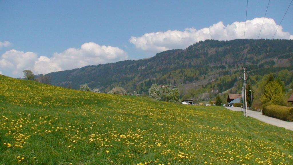Le Chalet D'Ulysse Arâches Kültér fotó